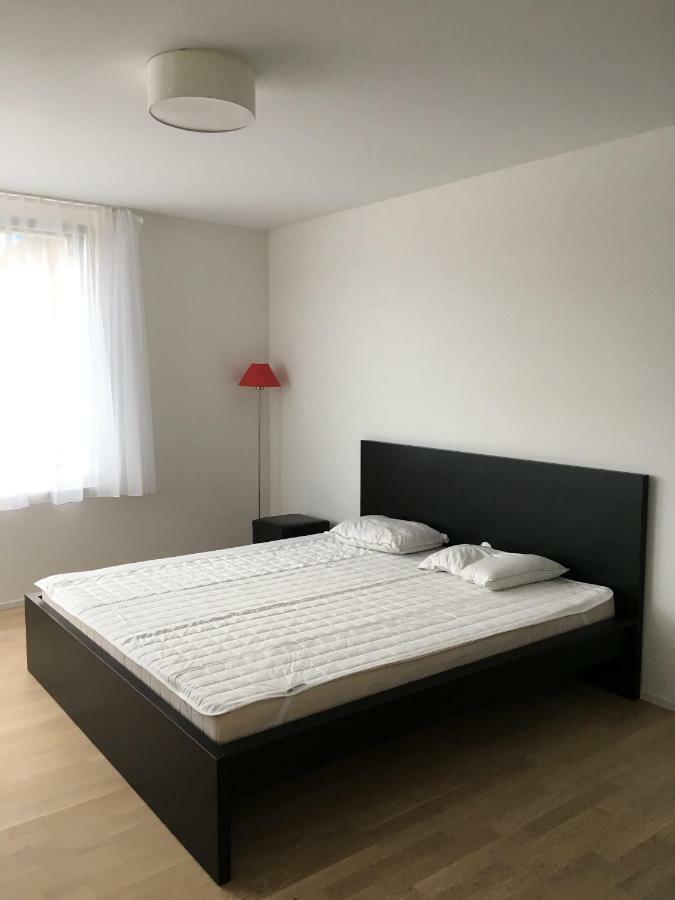 Close To Zuerich Centre And Airport Κλότεν Εξωτερικό φωτογραφία